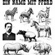 Ein Name mit Pferd