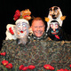 NEVILLE TRANTER: PUNCH & JUDY IN AFGHANISTAN