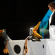 Nelson der Pinguin
