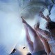 The Perfect Garden: ODEON - Mush Room (extended)