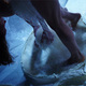tanz ist Festival – Liquid Loft / Chris Haring / Michel Blazy – The Perfect Garden