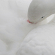 LOHENGRIN