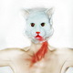 Blut am Hals der Katze