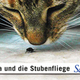 Elvira und die Stubenfliege