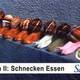 Salon II : Schnecken Essen