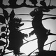 Hase und Igel