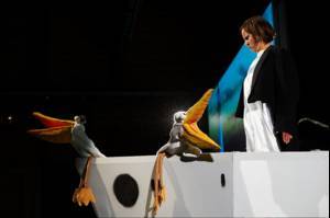 Nelson der Pinguin / Hakon Hirzenberger