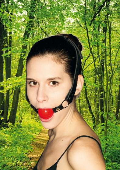 WIENER.WALD.FICTION