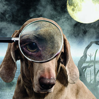 Der Hund der Baskervilles
