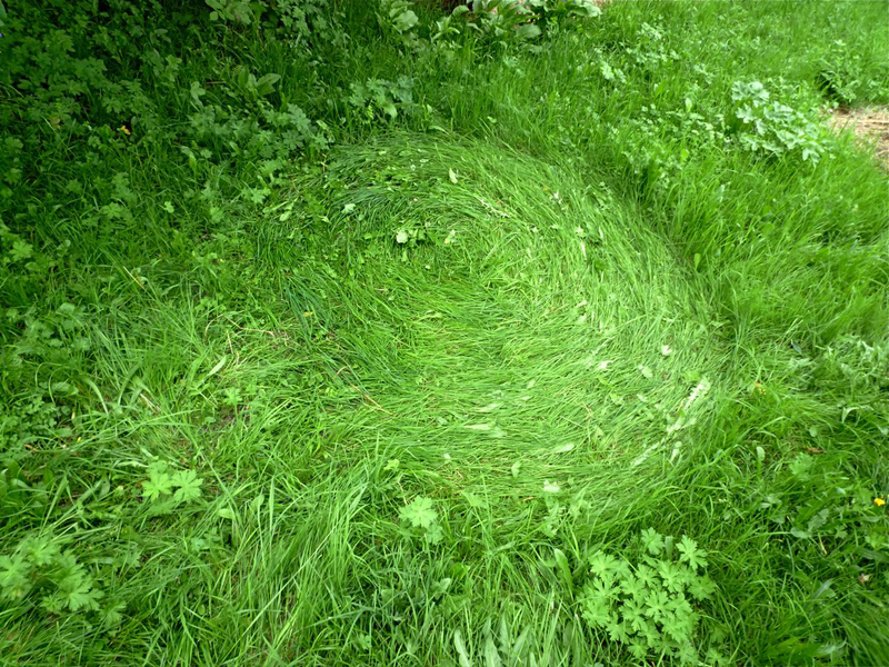 BARBARA KRAUS (AT): shared space