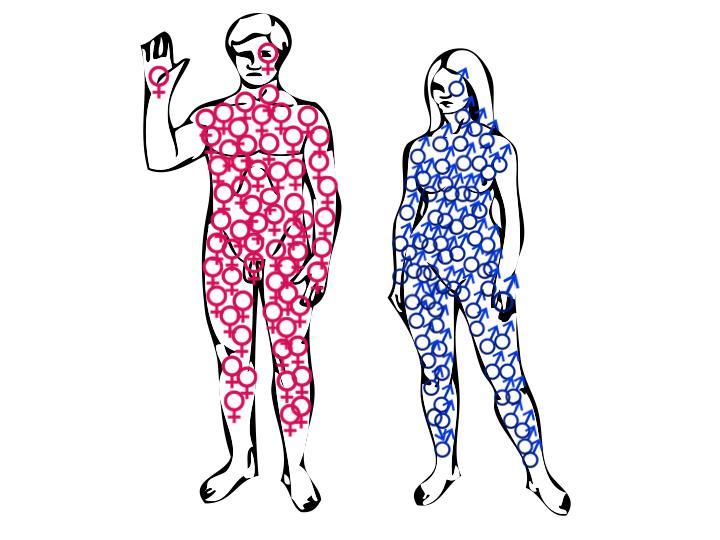 Gin Müller & Gorji Marzban - TRANS GENDER MOVES
