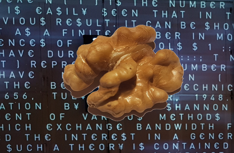 Thomas Jelinek: Intelligence
