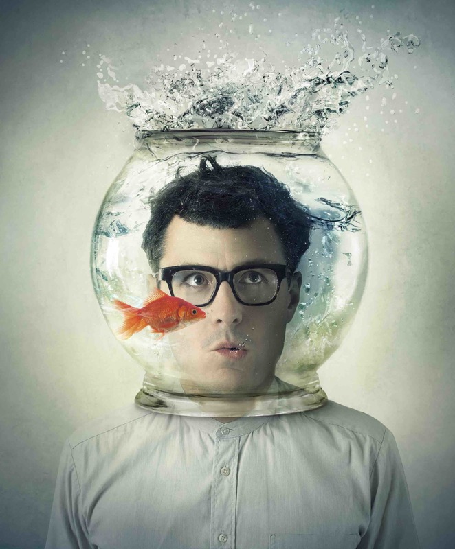 GOLDFISCH mit Manuel Rubey