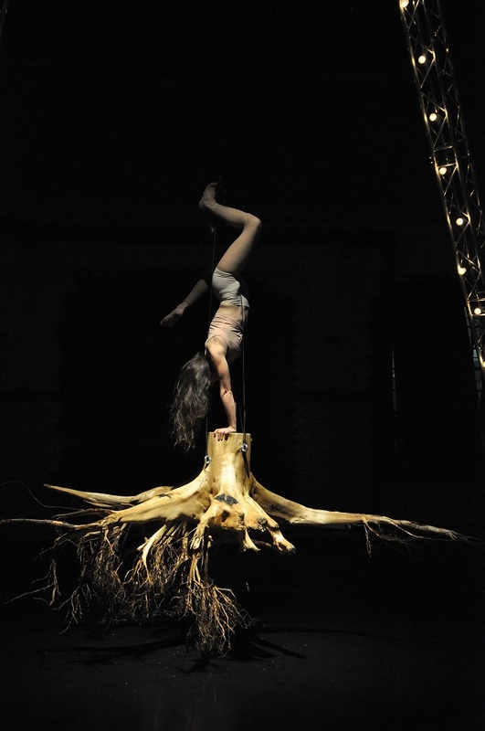 'Striking Roots into the Void' | PREMIERE