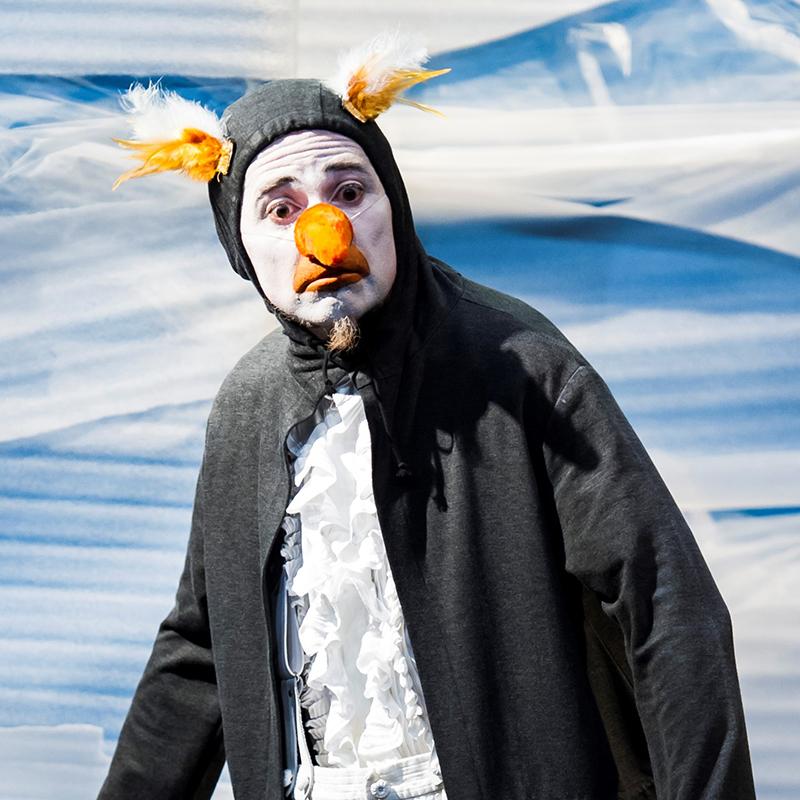 Ping Pong Pinguin