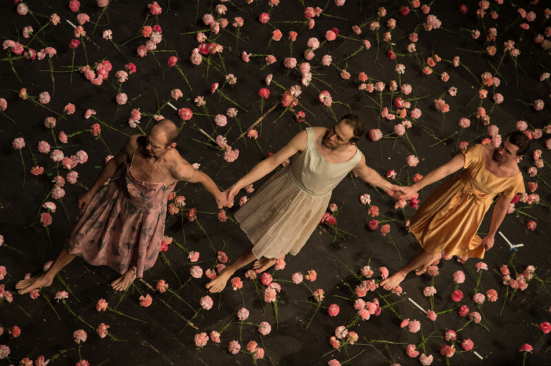 ImPulsTanz: Nelken. Ein Stück von Pina Bausch
